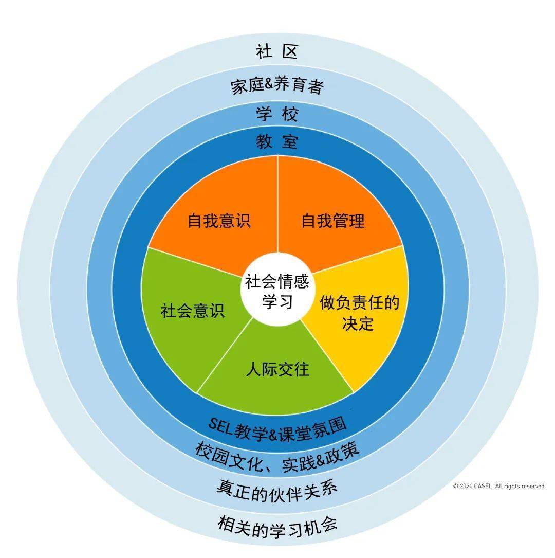 社会|这些决定孩子未来的关键能力，在家庭教育中就能轻松培养