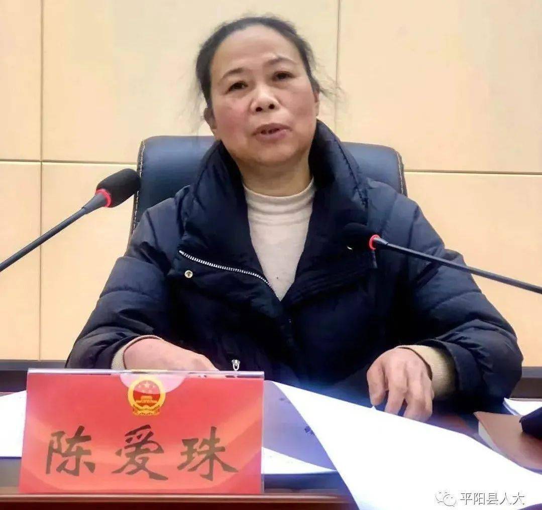 县第十七届人民代表大会代表任前培训在我校进行