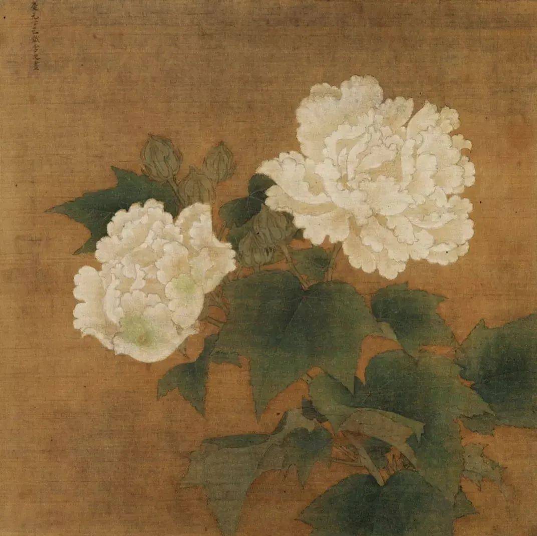 宋画,精美!_宋徽宗_珍禽_绘画