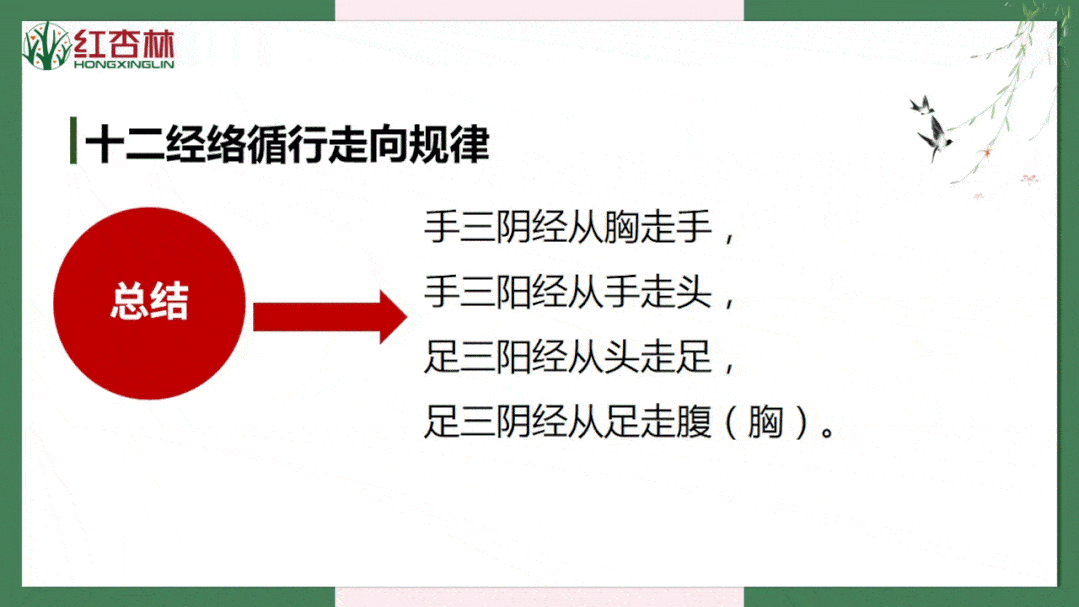 课程会根据实际情况有所变动97三焦经:危难时刻的消防员,让你轻松泻