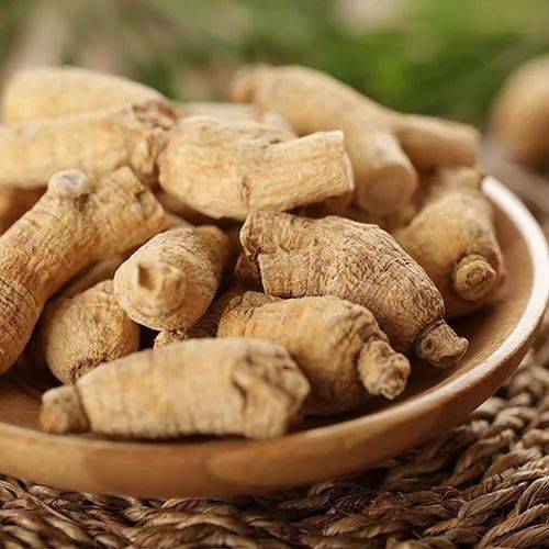 三七人参西洋参谁是参王之王