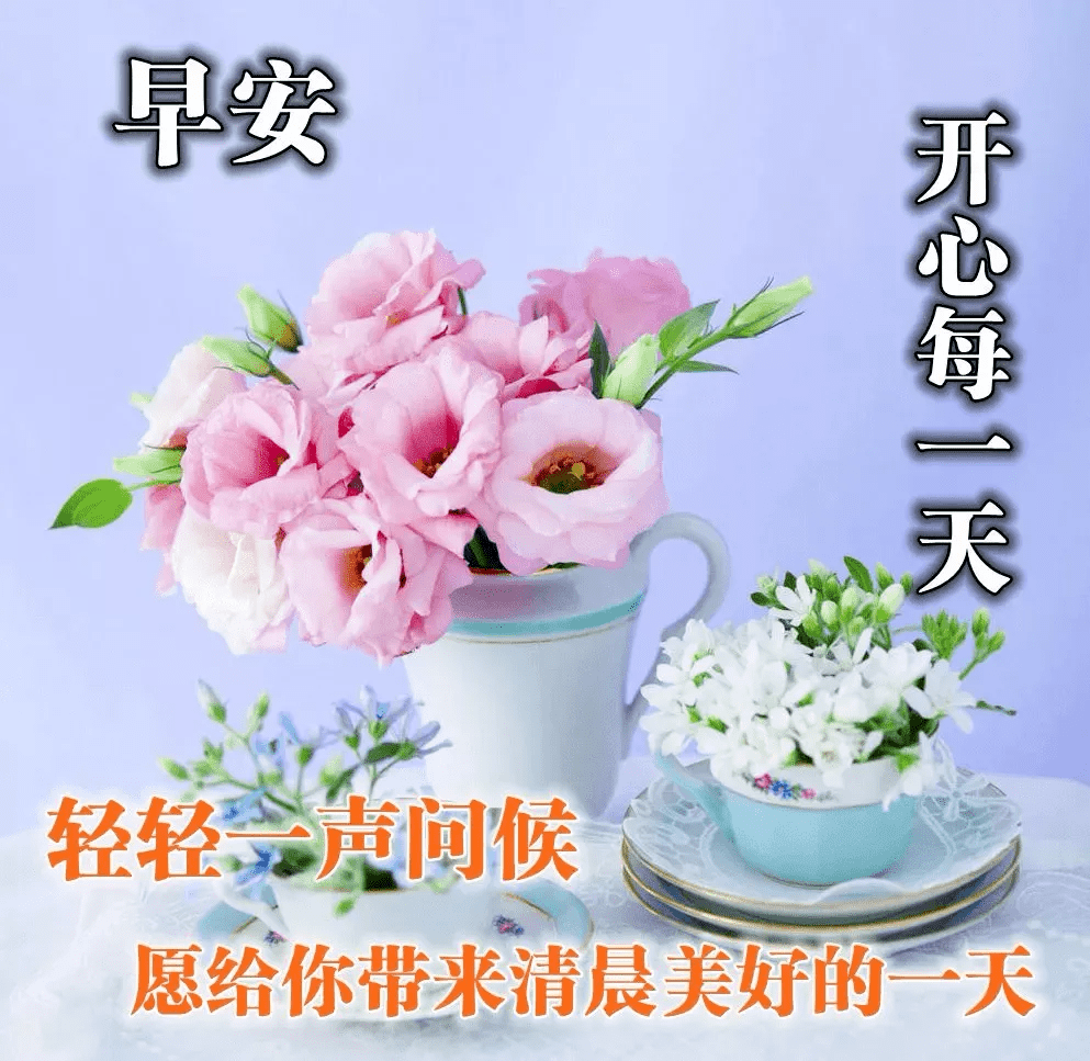 朋友早安!轻轻一声问候,带给您一天好心情