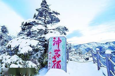 图片|湖北神农架：冰雪运动 多彩绽放