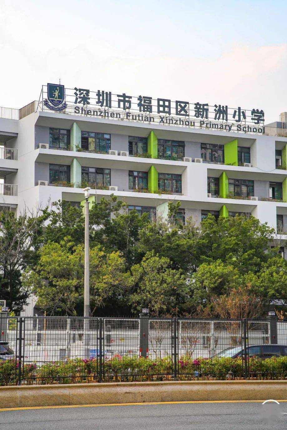 对于从小在新洲长大的孩子来说,不是读新洲小学,就是绿洲小学和新沙