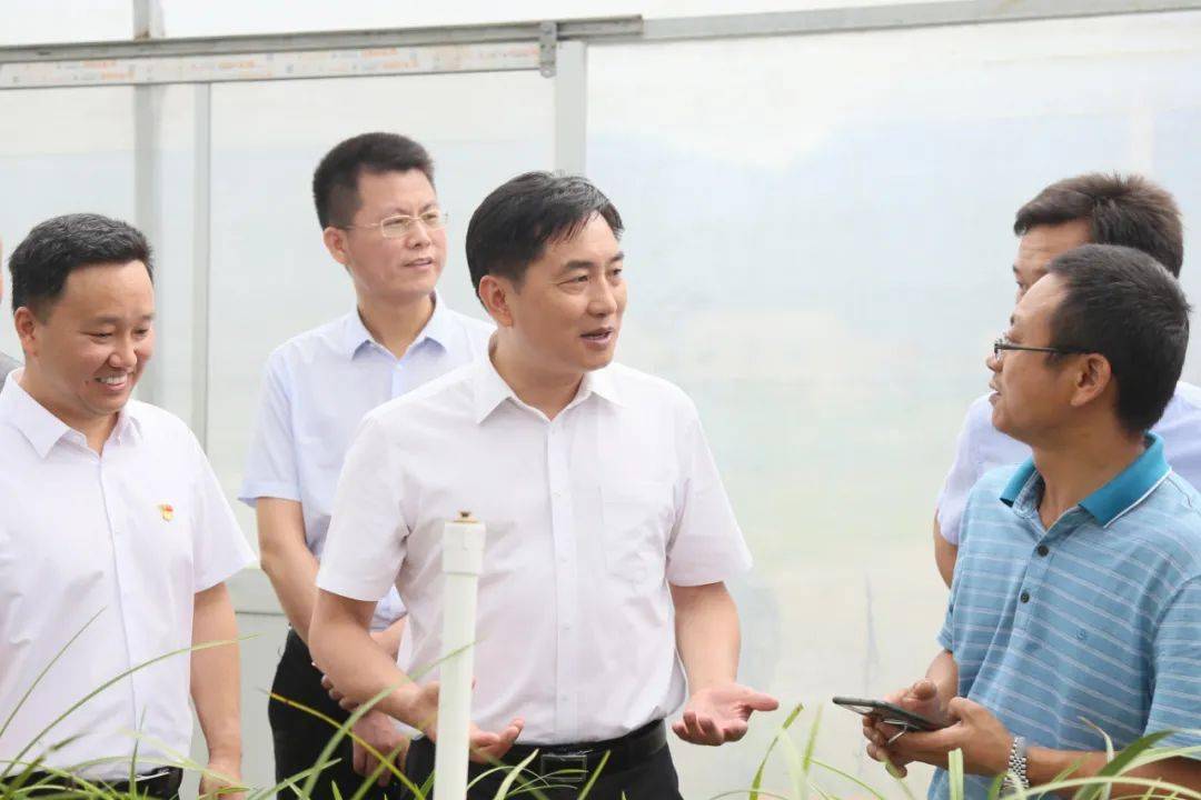 炎陵县委书记尹朝晖在推动革命老区高质量发展上蹚出新路为建设现代化