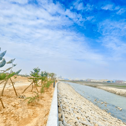 建生态海堤提城乡品质水头镇加快推进安海湾生态修复项目