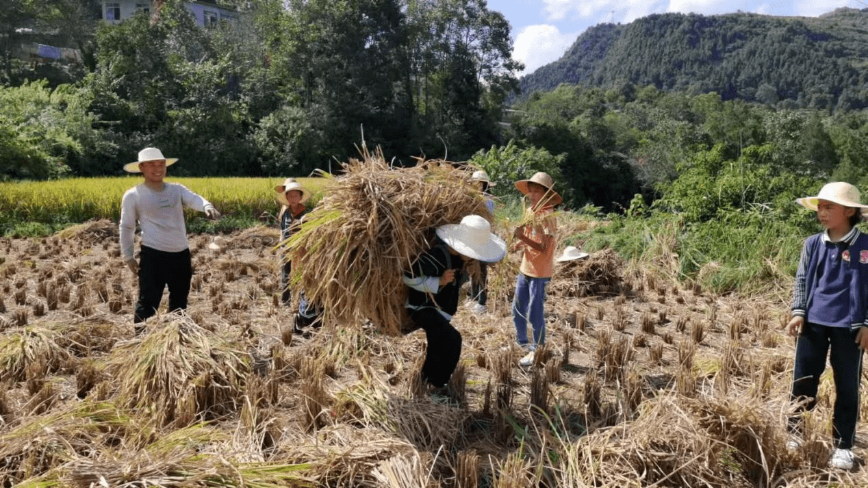 教育|被“委派”支教的这一年