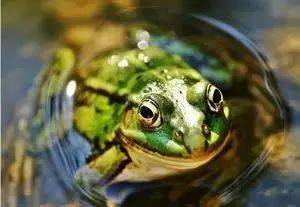 ������ȫ�ˣ�����ЧӦ�������������㷨������ЧӦ ...