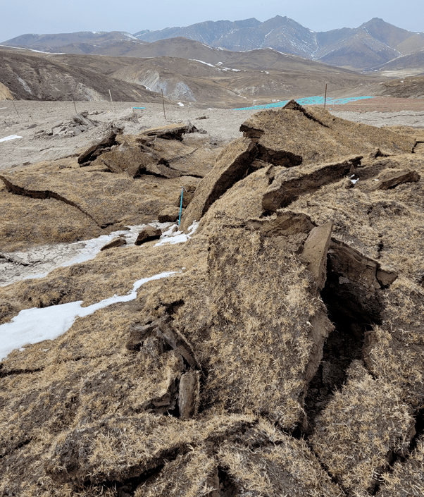 9级地震科考现场_变形_向西_地表