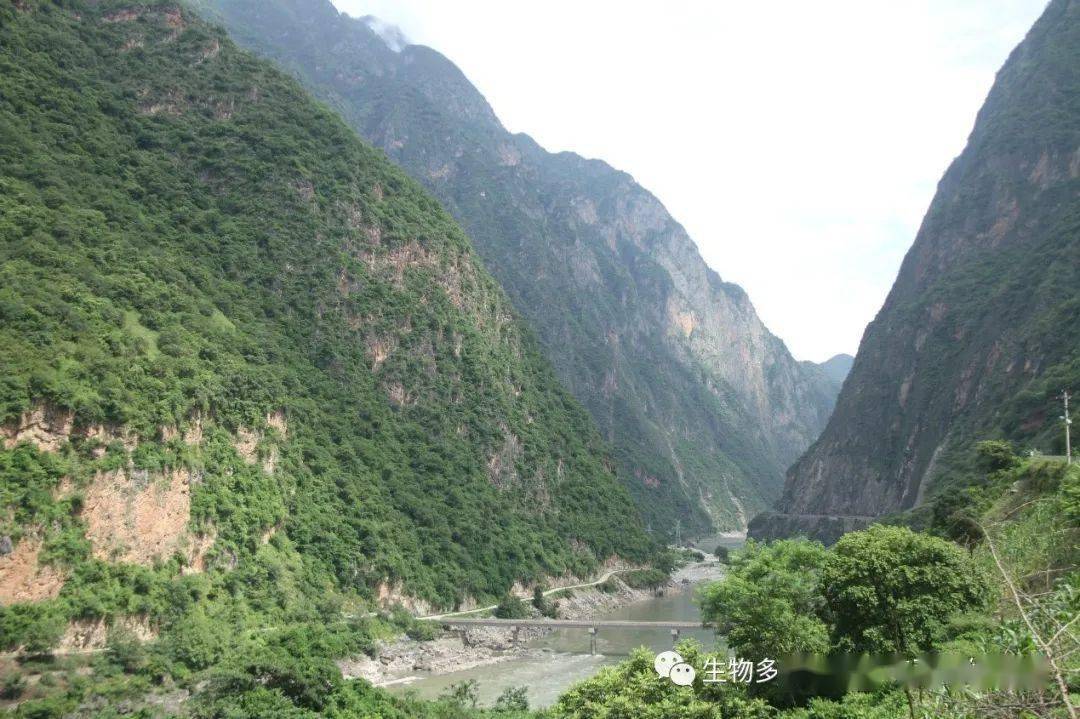 高山仰止景行行止第二次青藏高原综合科学考察之横断山行