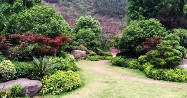 园林植物搭配技巧,活学活用_配置_绿色_乔灌木