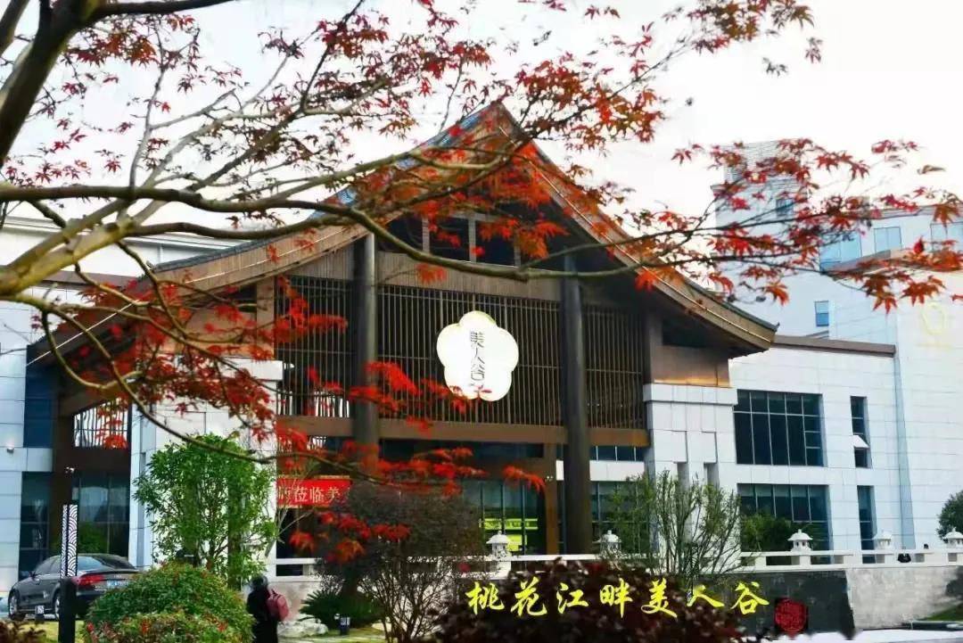 云台山|消费指南②丨益阳美食旅游打卡攻略人竹韵之旅已送达