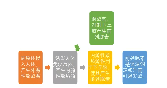 退烧药|孩子发烧为什么不能“捂”？这篇文章说清楚了