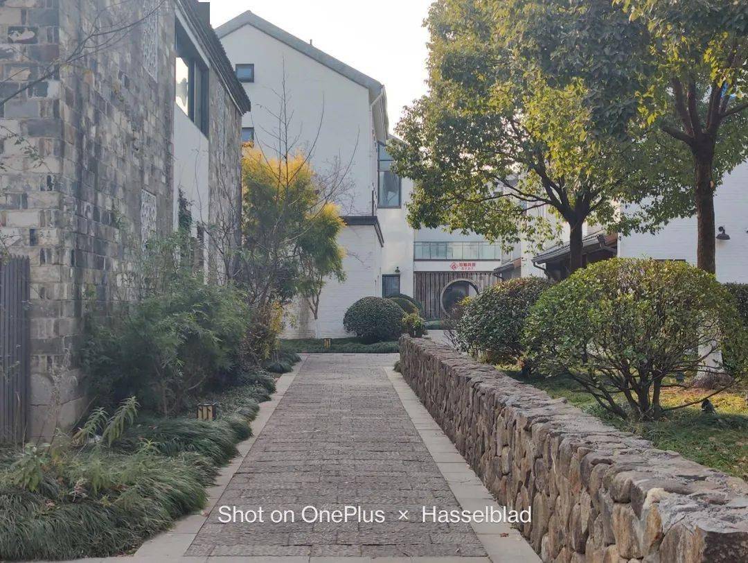 四款骁龙8系列手机拍照横评！各有各的离谱。。。