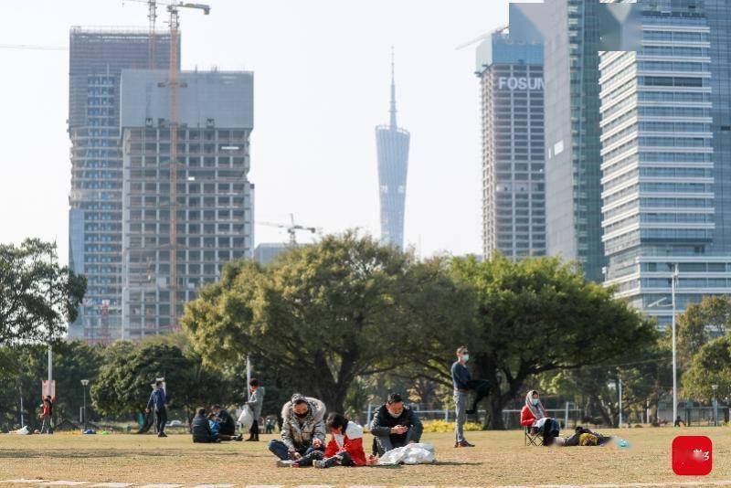 南沙|观海听潮逛沙滩，踏“雪”寻梅游花园！广州帐篷地图收好不谢