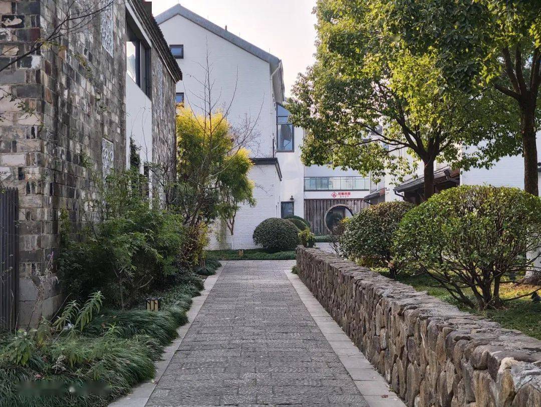 四款骁龙8系列手机拍照横评！各有各的离谱。。。