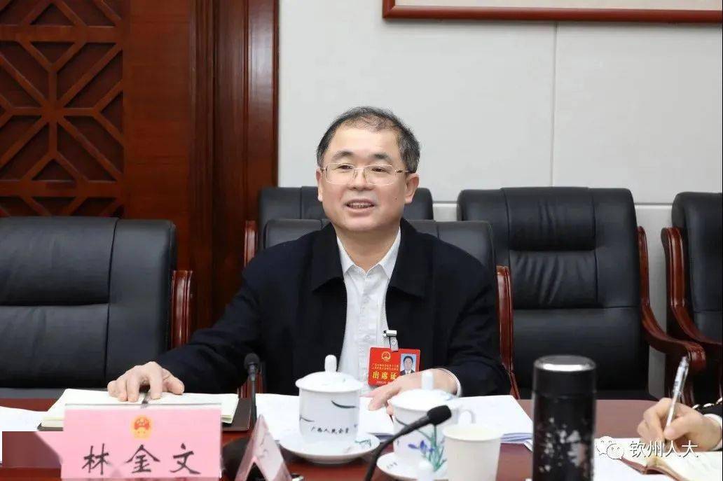 林金文代表审议两院工作报告