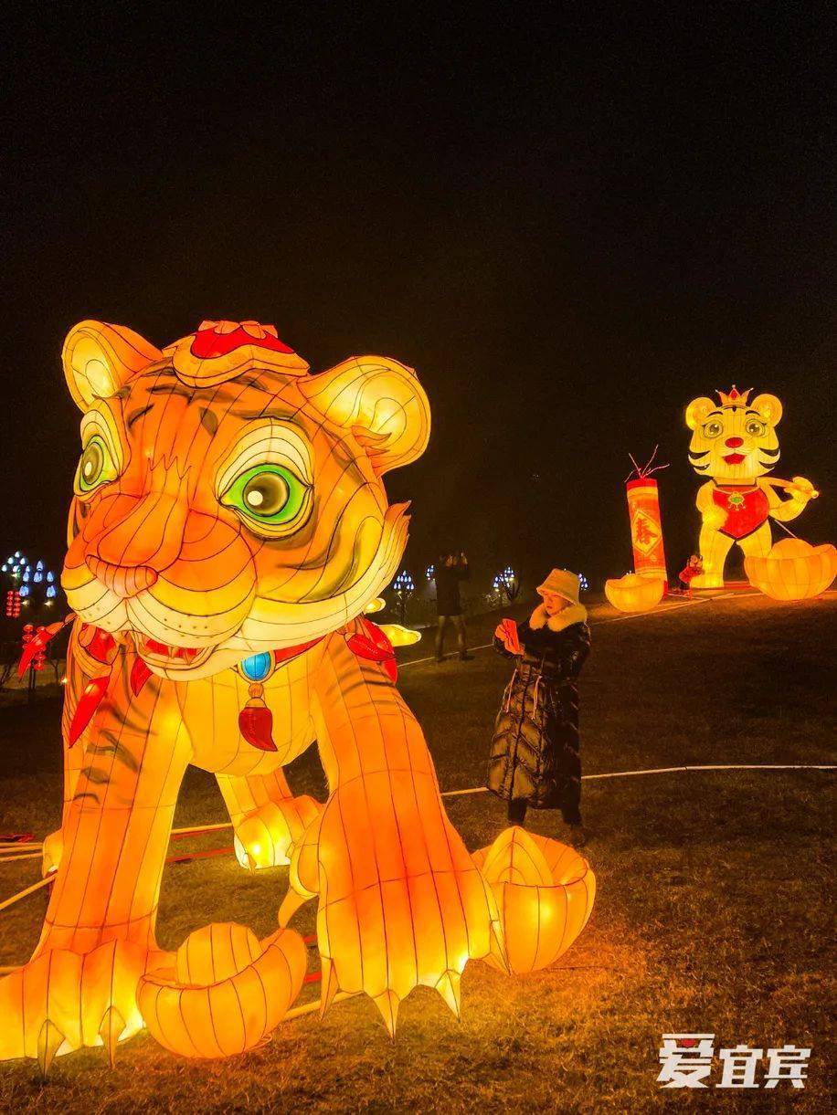 亮了宜宾全城都是老虎花灯夜景3d彩灯快去打卡