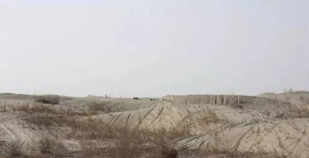 新疆麦盖提县一个被沙漠环绕的新疆小县城99的人都没去过