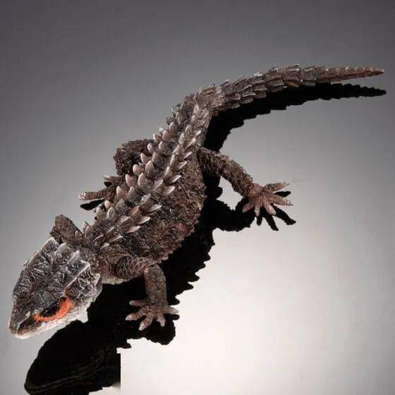 万代生物大图鉴ultimate红眼鹰蜥黑眼鹰蜥在线扭蛋