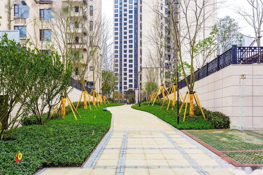 不负一城厚望,香樾府盛大交付 | 恭迎1700户业主幸福归家_朗基_宣传
