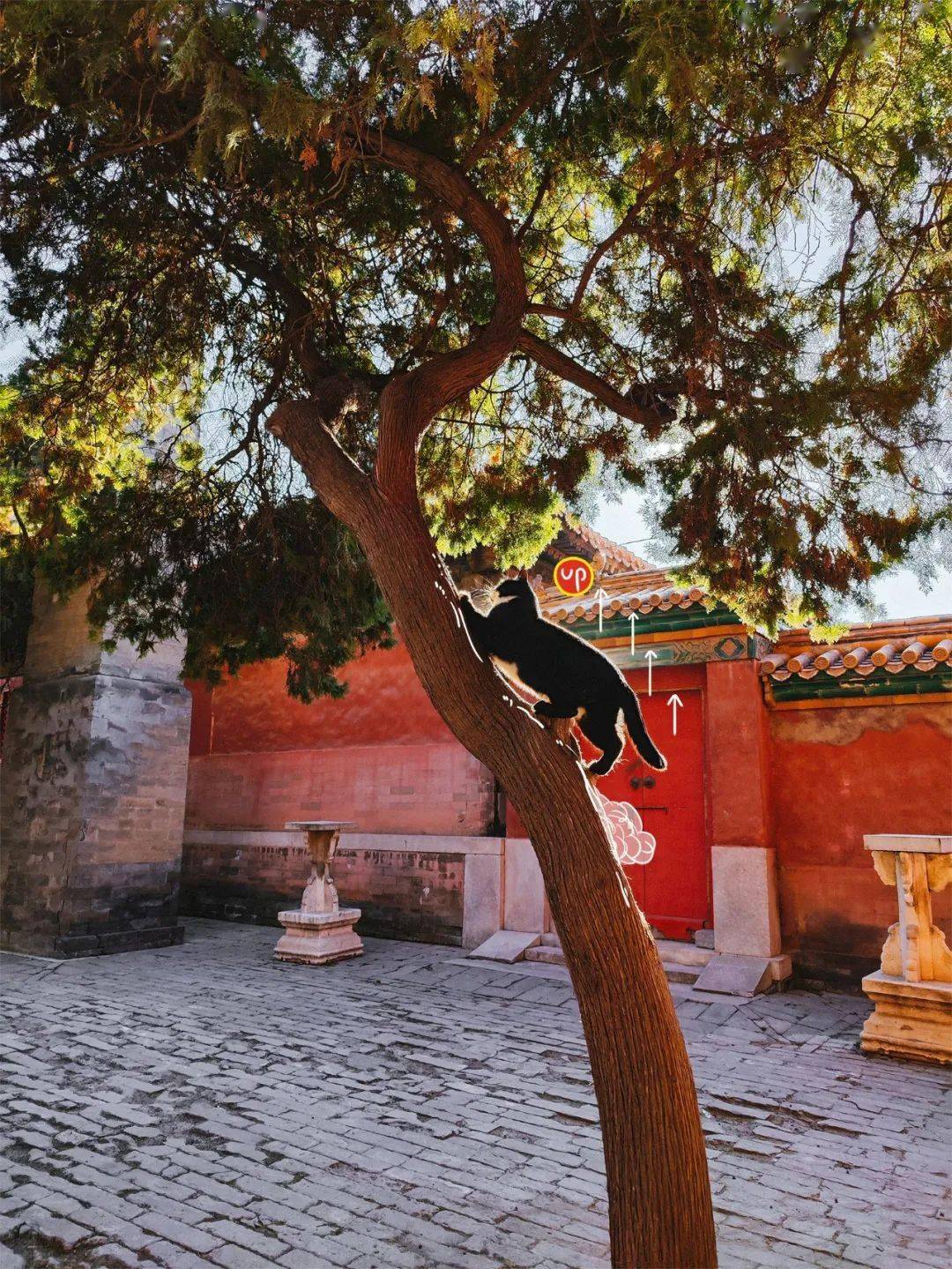 贺岁|顶流明星贺岁,送你全年表情包