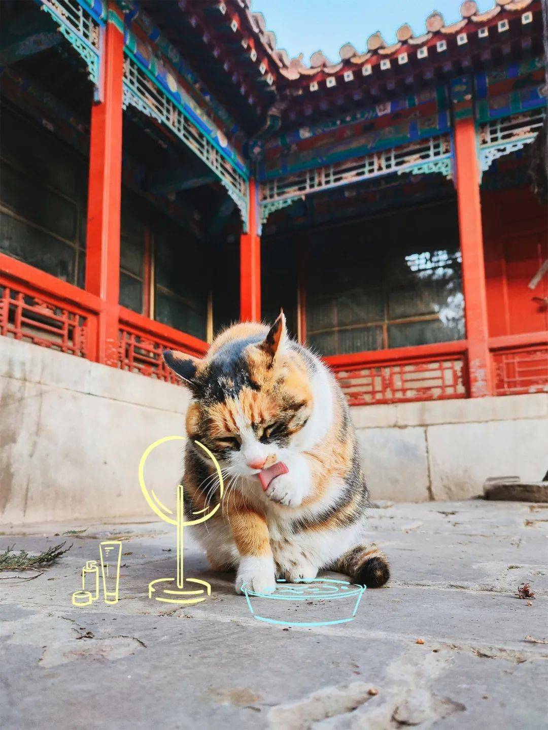 贺岁|顶流明星贺岁,送你全年表情包