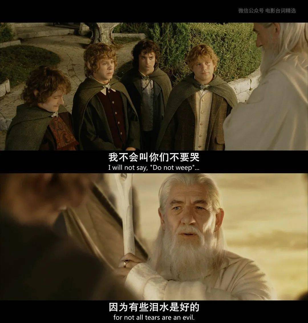 指环王3王者无敌thelordoftheringsthereturnoftheking2003我不会叫