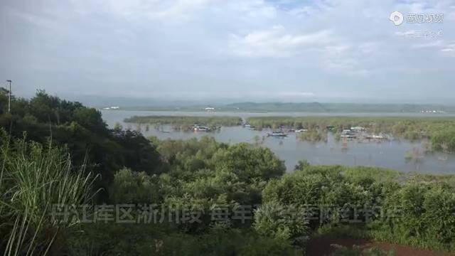 淅川丹江禁钓区域图片