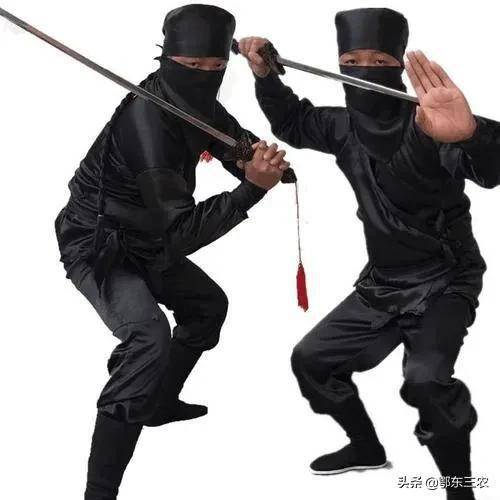 农村俗语响马出山东蹚将出河南是什么意思