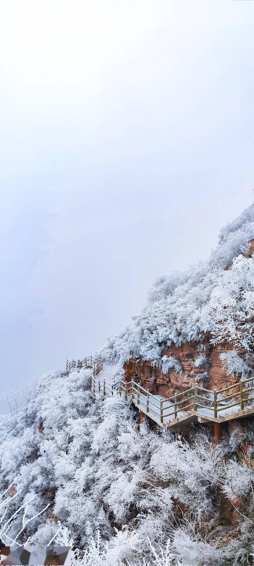 景区|让无数人刻进DNA的河北雪景有多香？