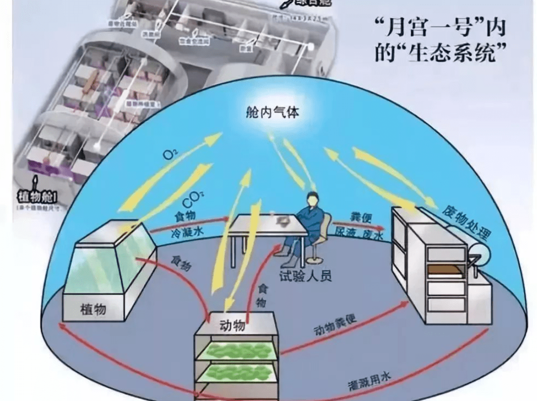 生物圈二号 失败原因图片