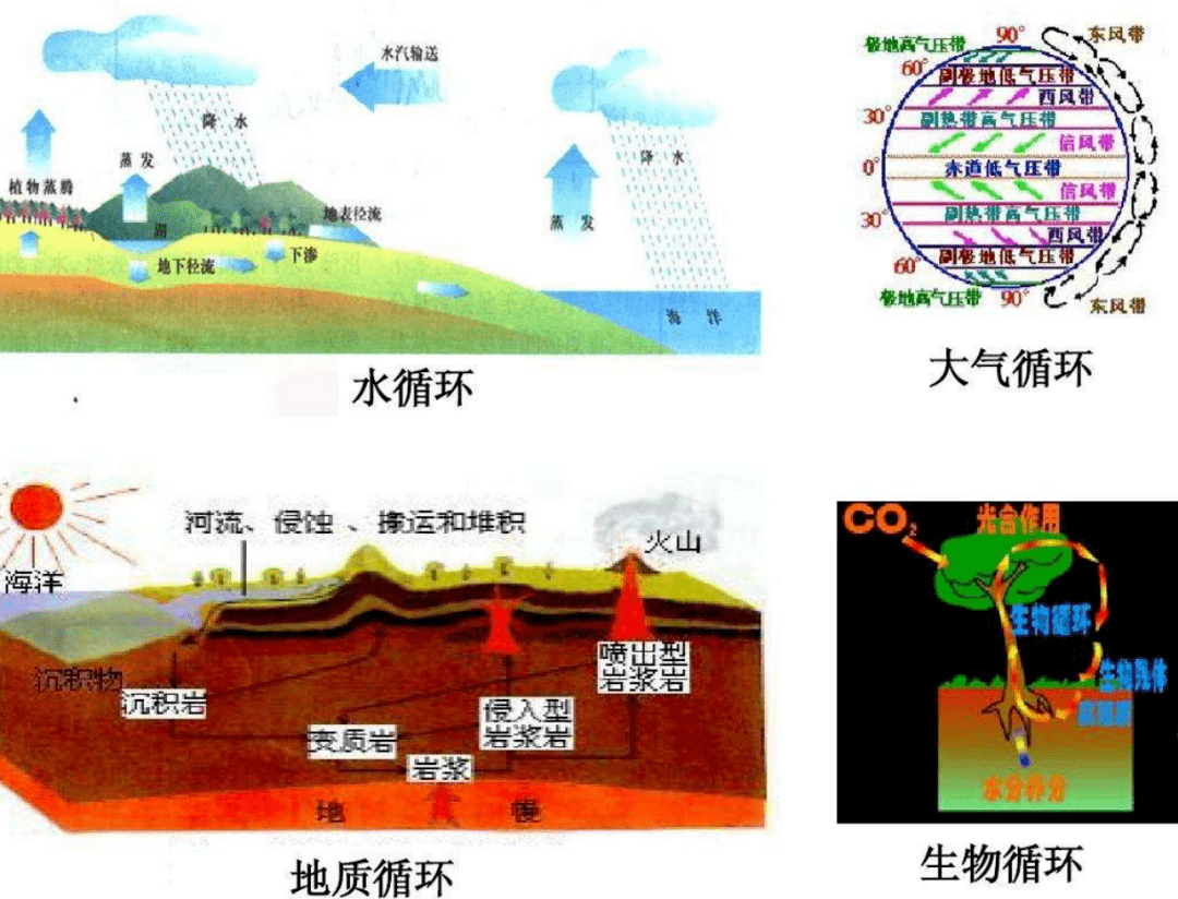 地球生物圈纪录片图片