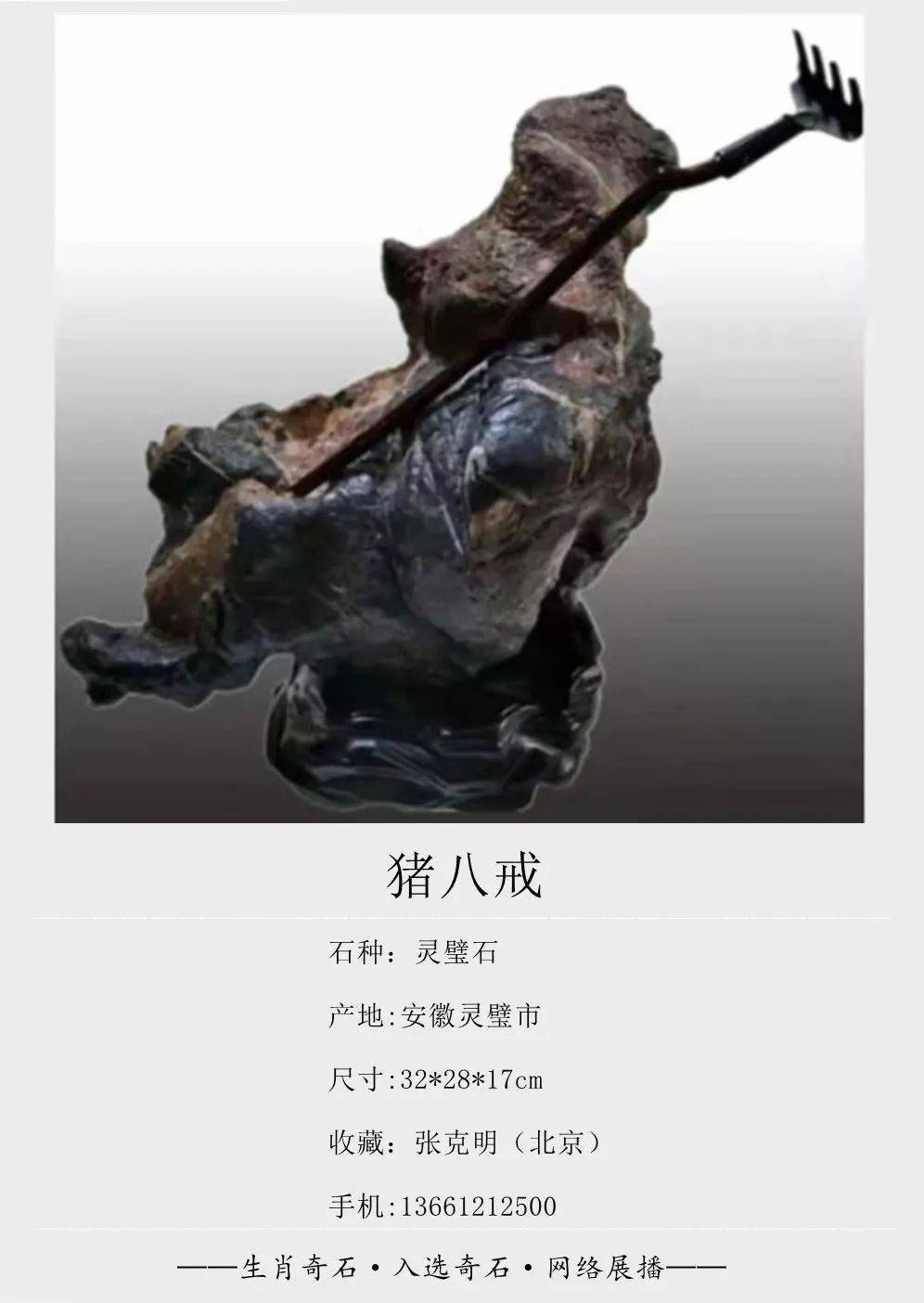 生肖奇石展播开始了入展作品登场欢迎观展欣赏