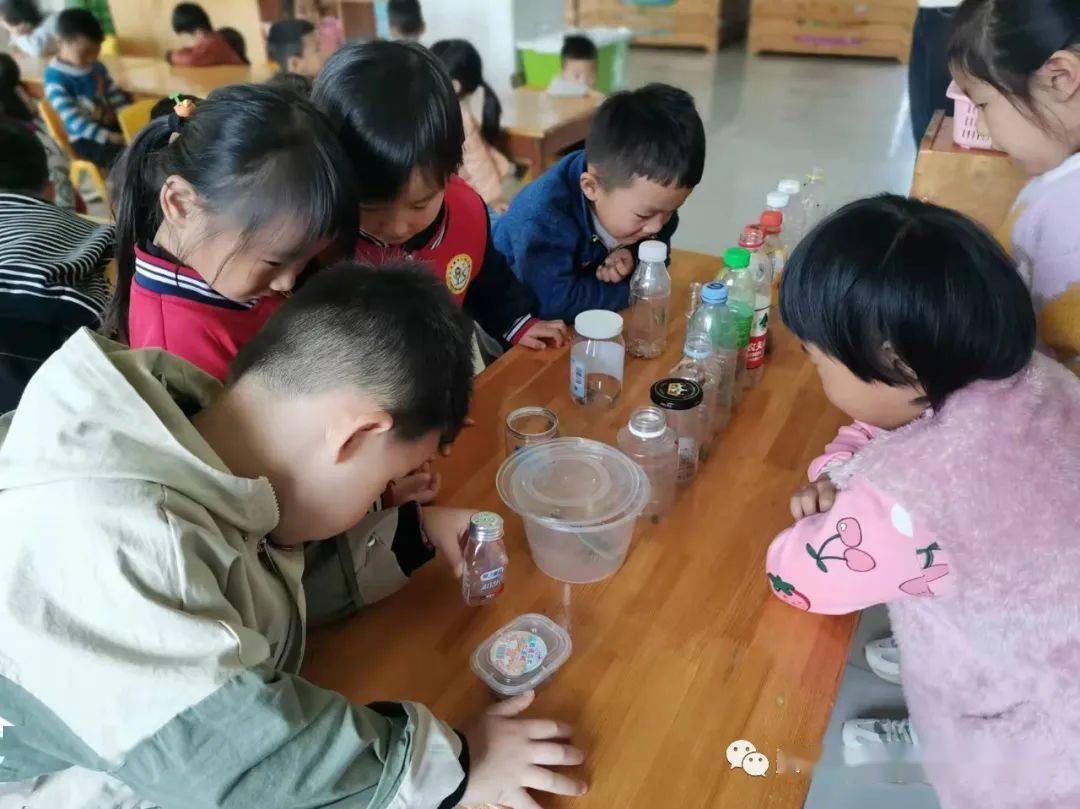 活动|费县上冶镇中心幼儿园 | 用心养育 静待花开