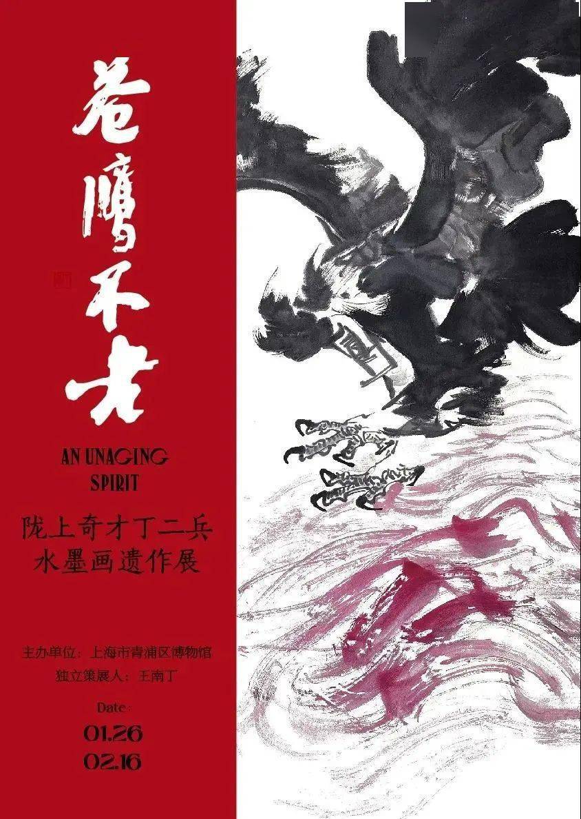 时间|快收好！当花展遇上“福虎”，本周文旅活动很有新意！邀你来感受虎年新年味儿~