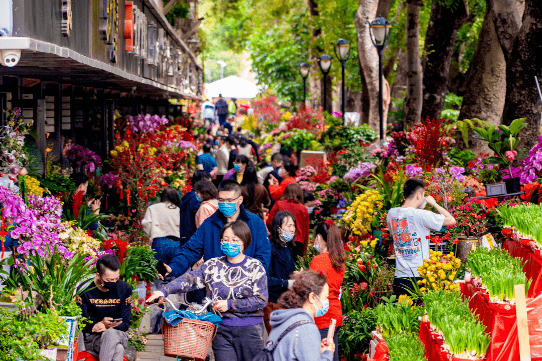 深圳迎春花市明起迎客!游玩攻略在此→_福田区_市民_辖区