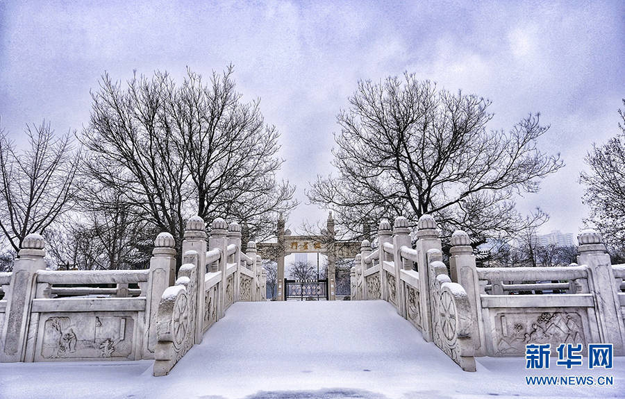 王羿|红墙青瓦遇白雪 文庙银装似画卷