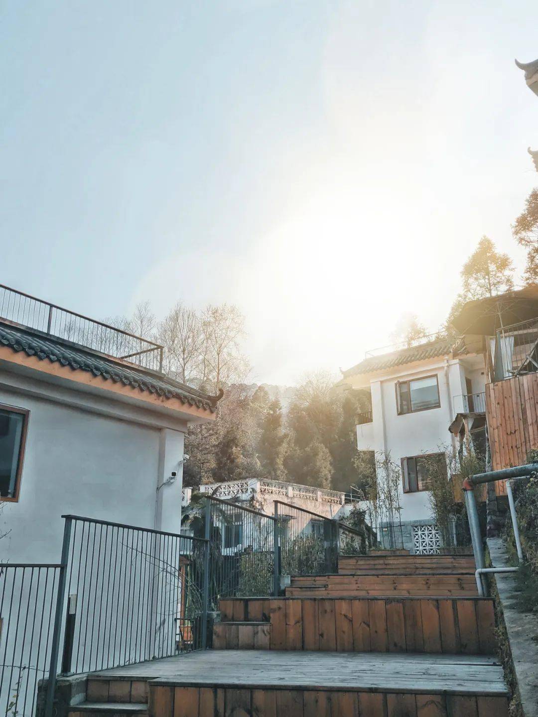 山景|在都江堰过年 | 到青城山看花海、住民宿、泡温泉，速度安排！