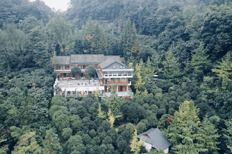 山景|在都江堰过年 | 到青城山看花海、住民宿、泡温泉，速度安排！