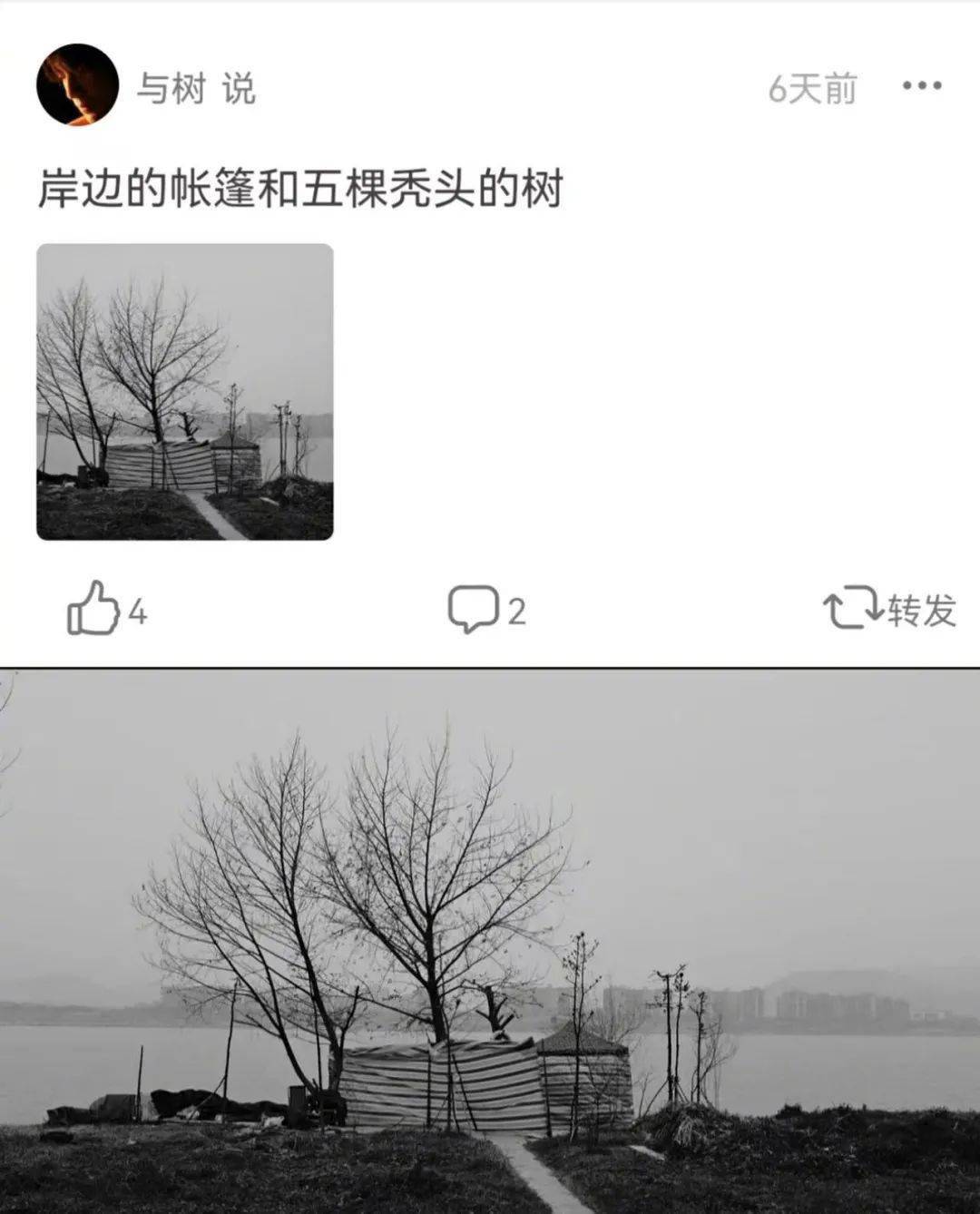 生活|“无意间发现生活中的艺术…”好家伙这才是人间值得！！