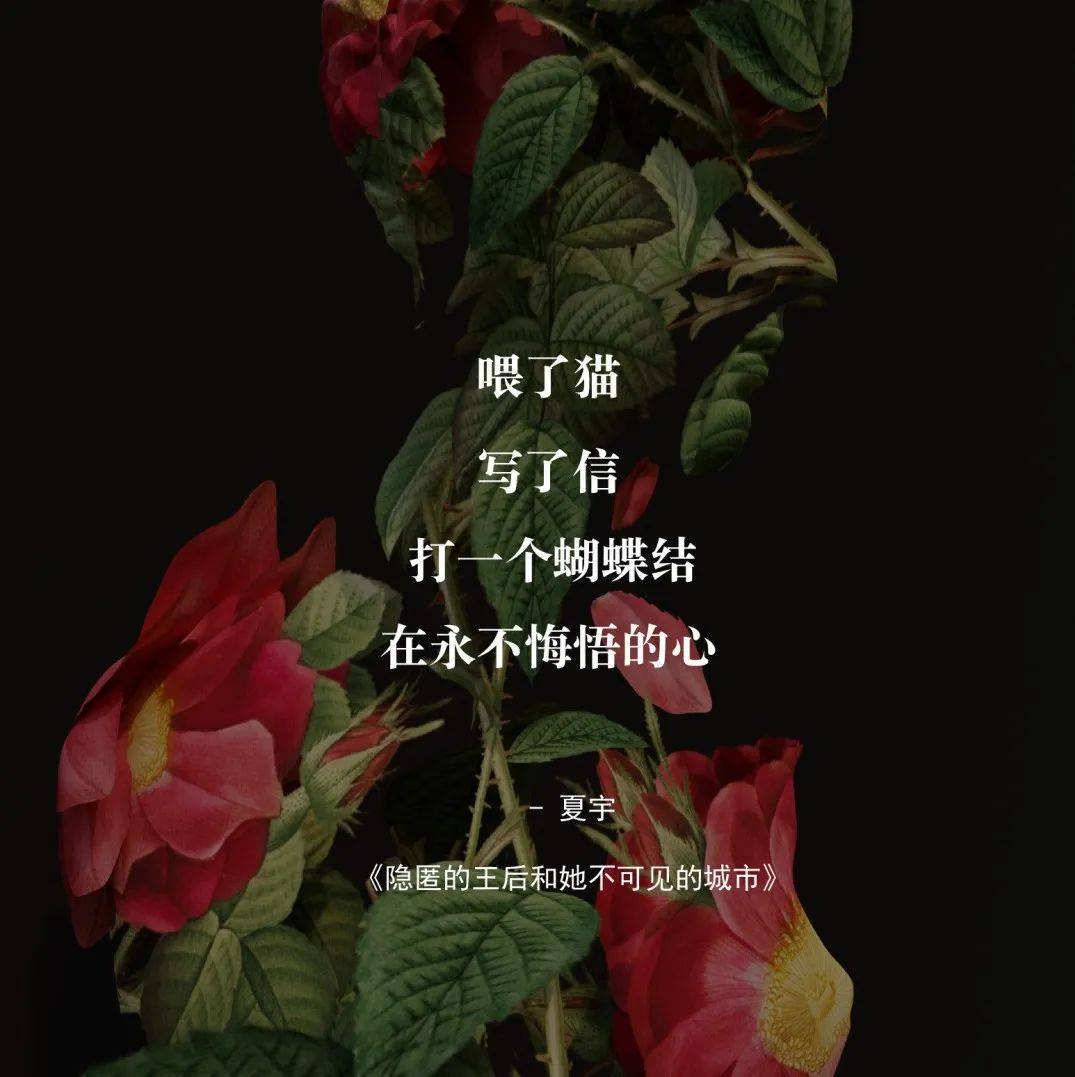 1月25日,晚安地球人_悔悟_王后和_夏宇