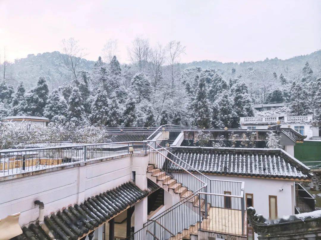 山景|在都江堰过年 | 到青城山看花海、住民宿、泡温泉，速度安排！