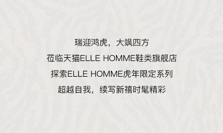 瑞迎鸿虎，大飒四方