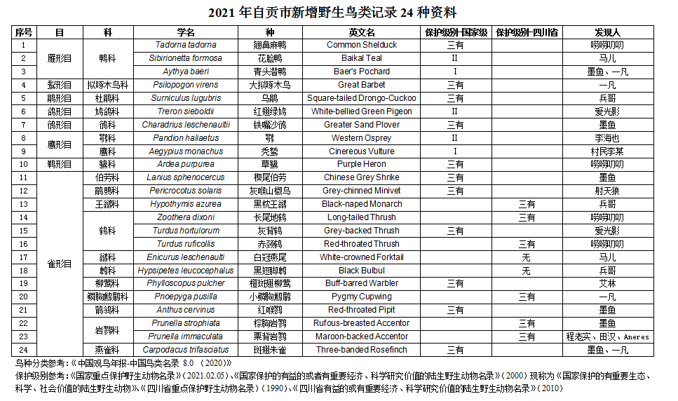 国家二级保护鸟类名单图片