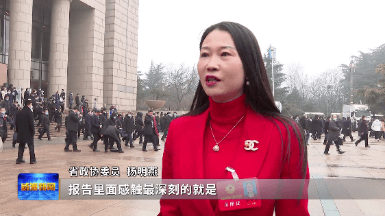 省两会代表委员热议政府工作报告已起势求胜势拓展动能转换更广空间