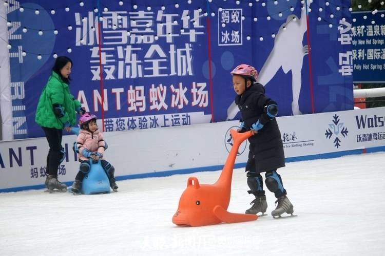 冬奥|筑梦冬奥丨与鸽共舞！贵阳首家真冰滑冰场引来众多鸽子“打卡”