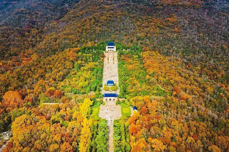 也为新的一年开启一个也预祝我们的祖国,虎踞龙盘在世界之巅预祝来年