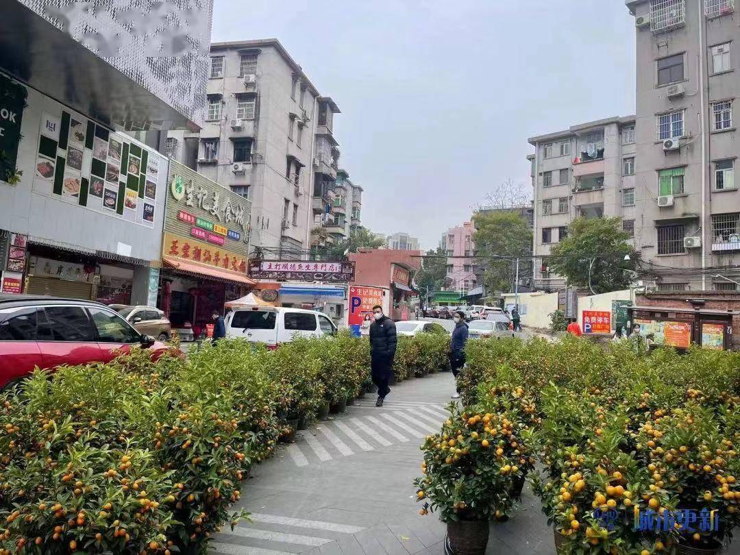 荔湾坑口村百年民俗传承旧村守望新生羊城村史录78