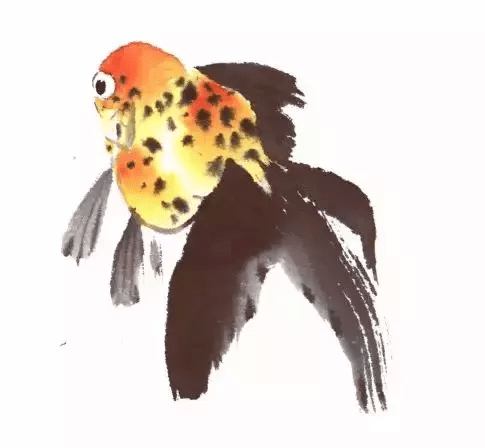 599e9f6941b3492fbe1c0b80d2d82353.png